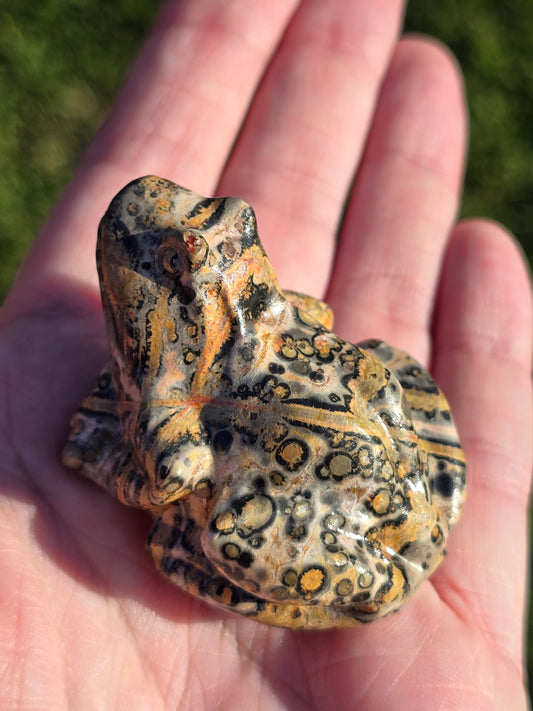 Leopard Jasper Frog