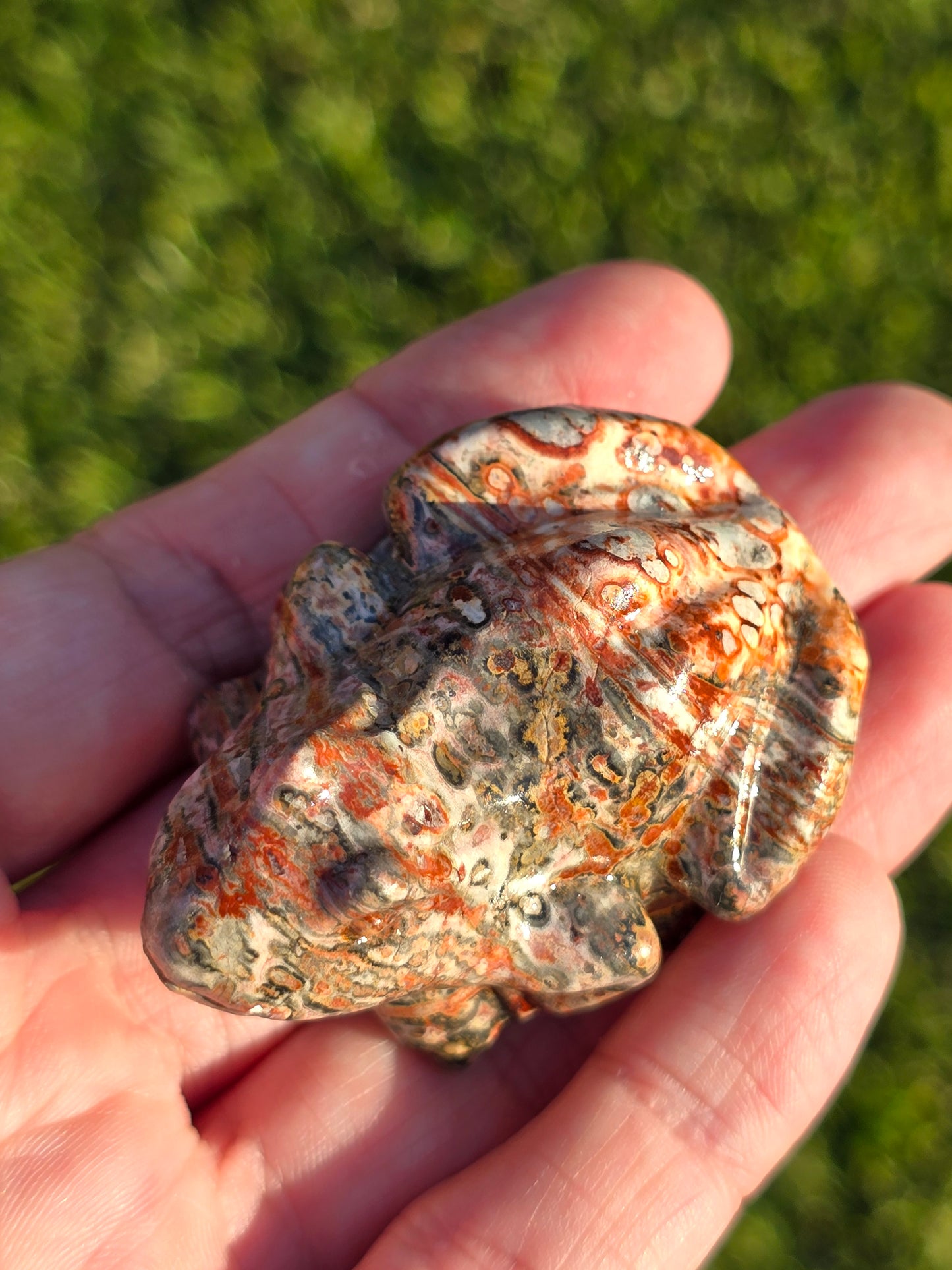 Leopard Jasper Frog
