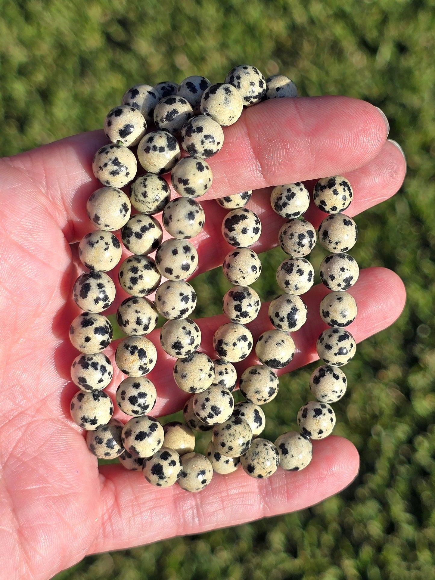 Dalmation Jasper 8mm bracelet
