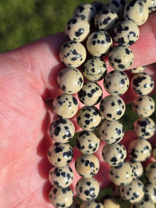 Dalmation Jasper 8mm bracelet