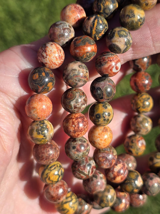 Leopard Jasper 8mm Bracelet